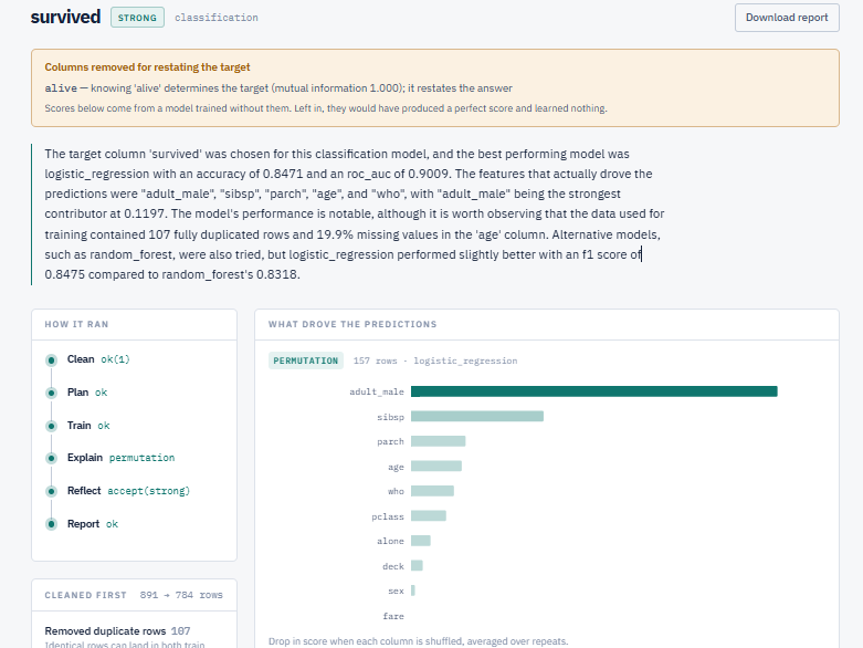 A completed run: clean, plan, train, explain, reflect, report steps all green, with permutation feature importances